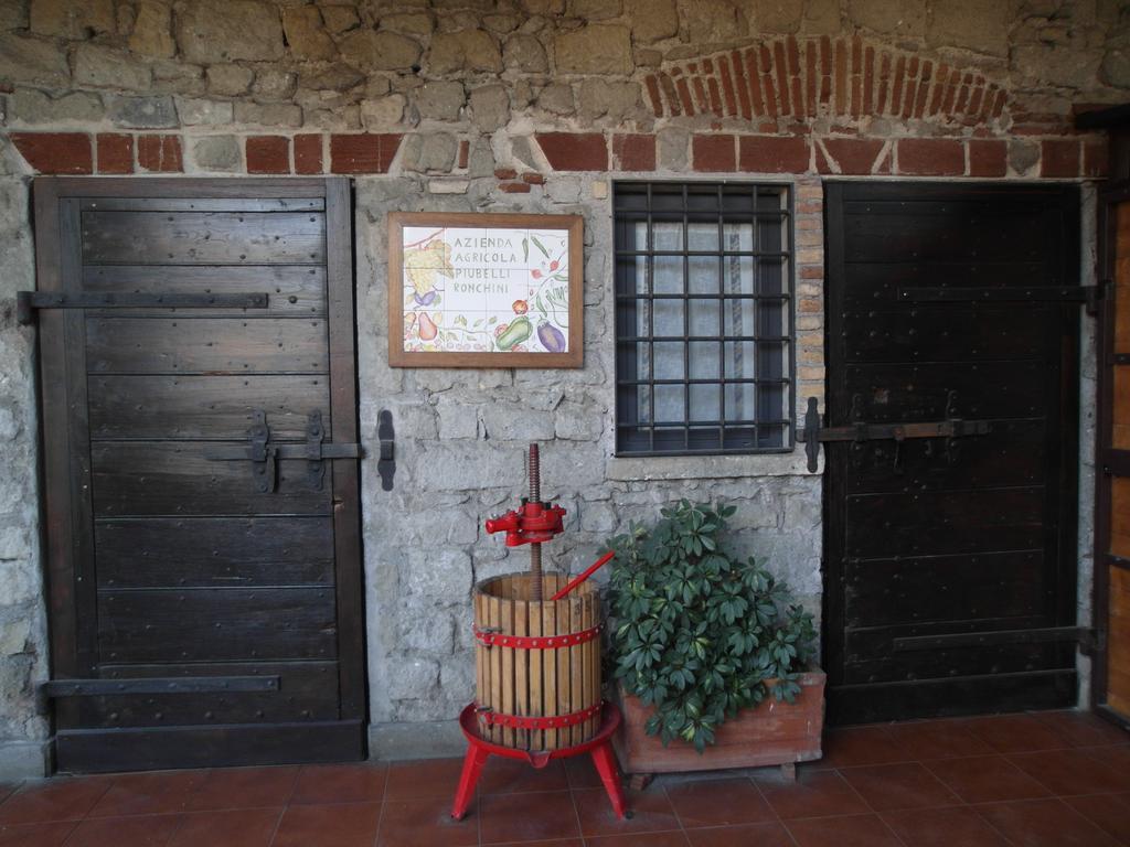 Casale Degli Archi Villa Castel Gandolfo Exterior photo